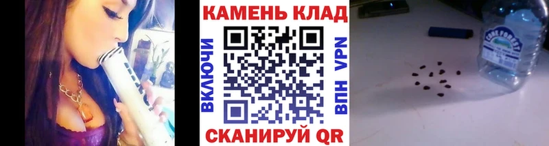 продажа наркотиков  Камышлов  Гашиш индика сатива 