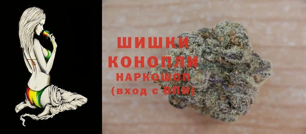 винт Инсар