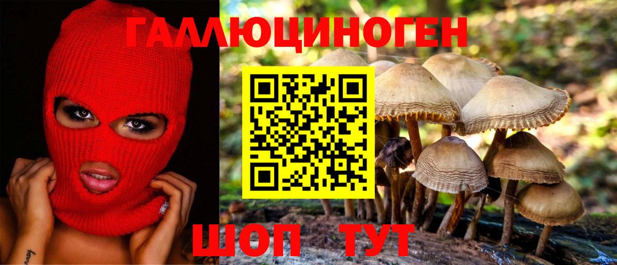 Псилоцибиновые грибы мухоморы  Вход с VPN  Камышлов 